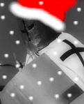 Weihnachtsritter
